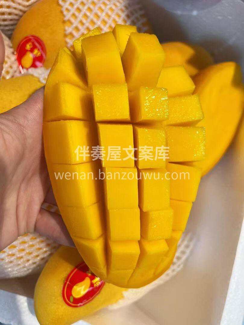 ❤️新鲜美味的水仙芒😋 ⭐️芒果中的佼佼 配图1