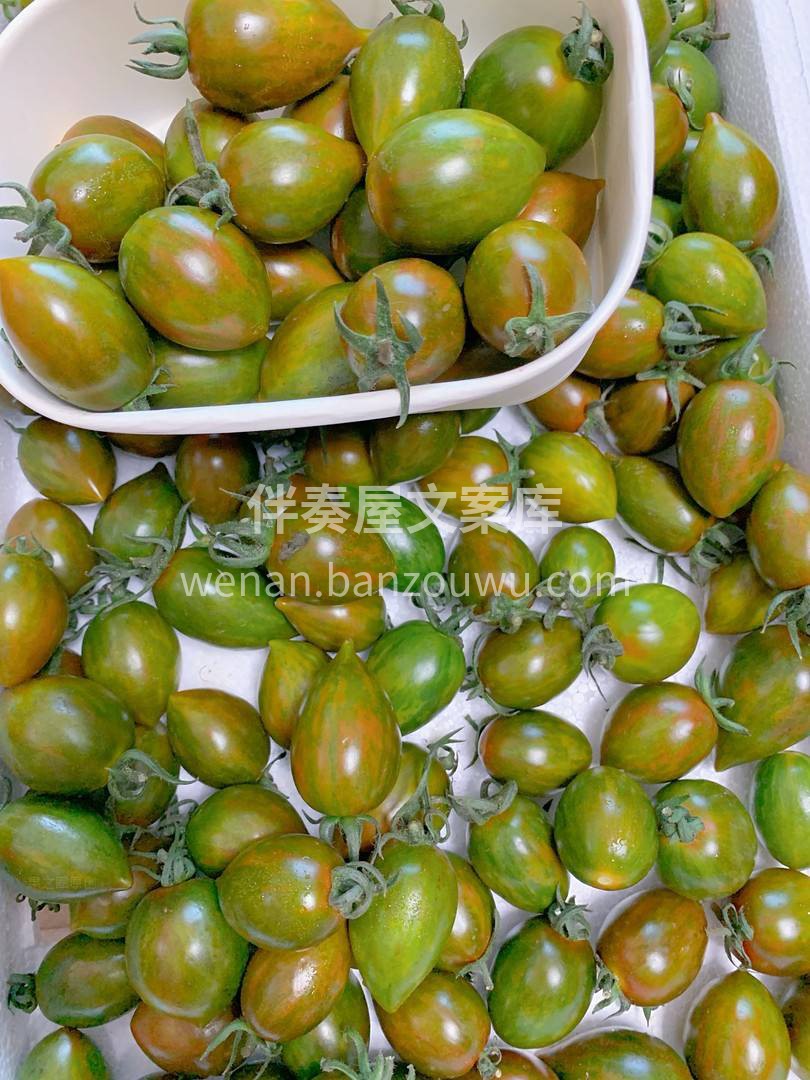 😊好吃的迷彩番茄，外形独特，成为一道靓丽 配图1