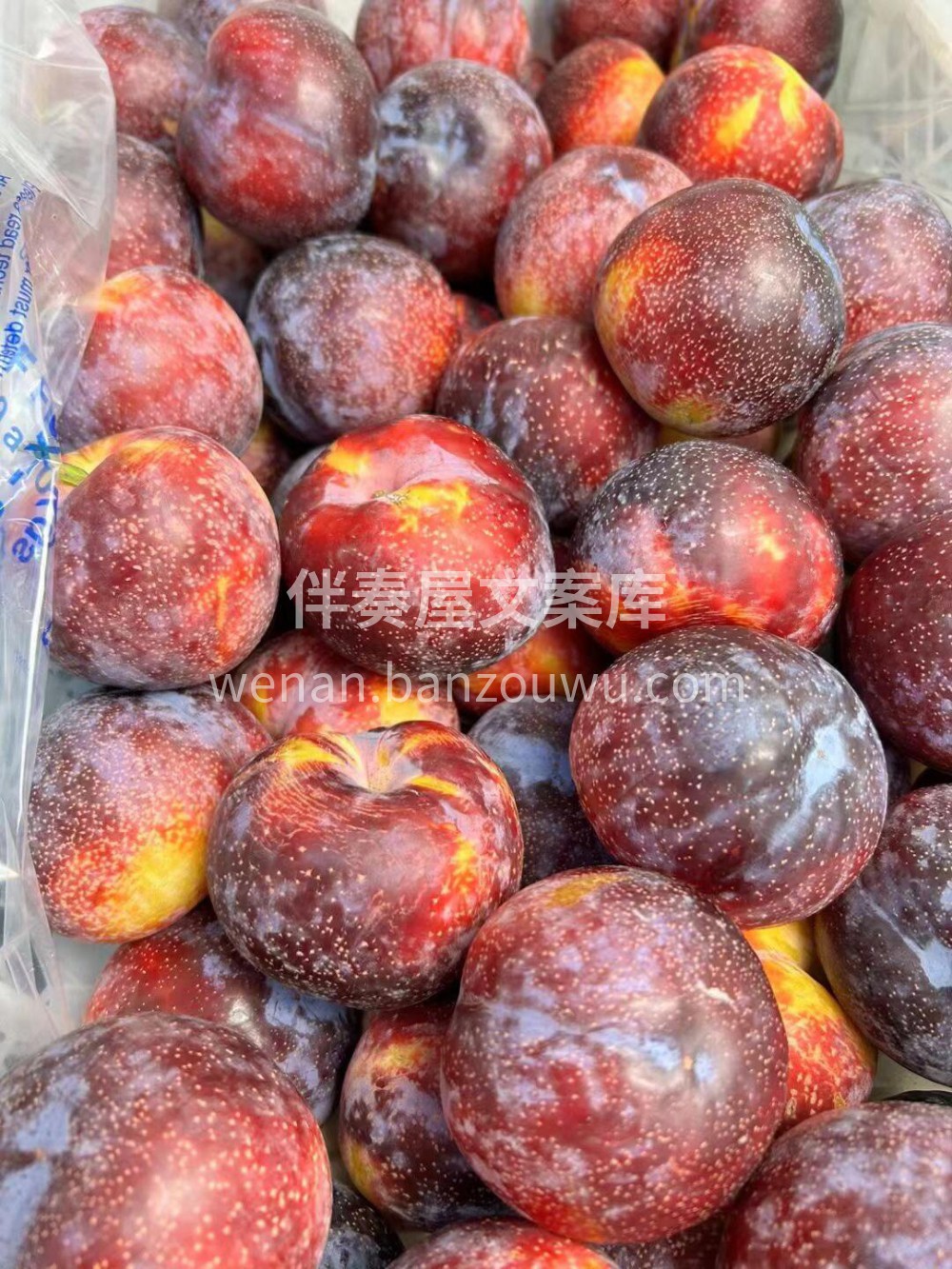 智利🇨🇱雪花李上架喽✅️高品质，颜值高👍 配图3
