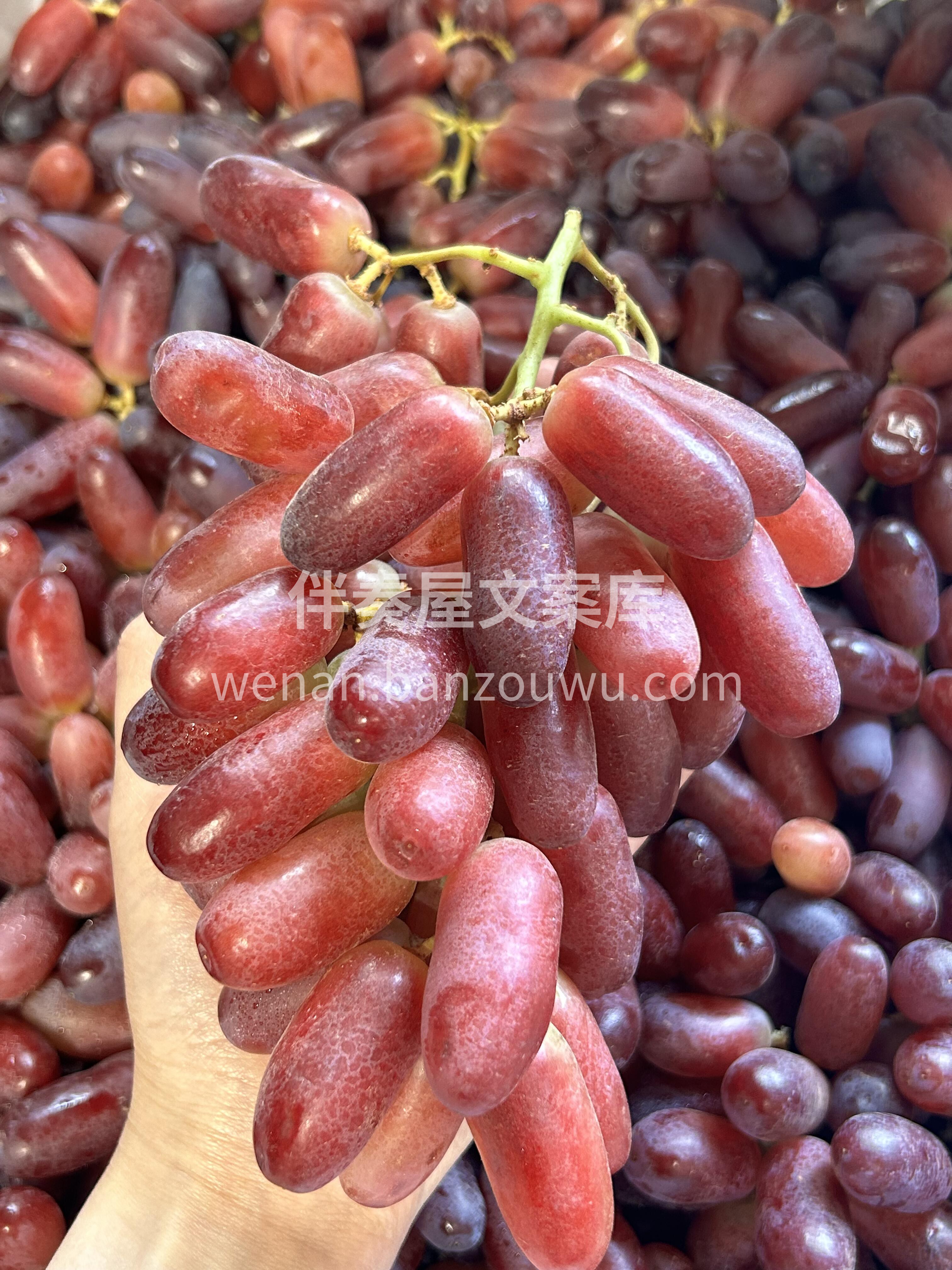 ❤️新货懒人福音👏 金手指红提🍇，自带光 配图1
