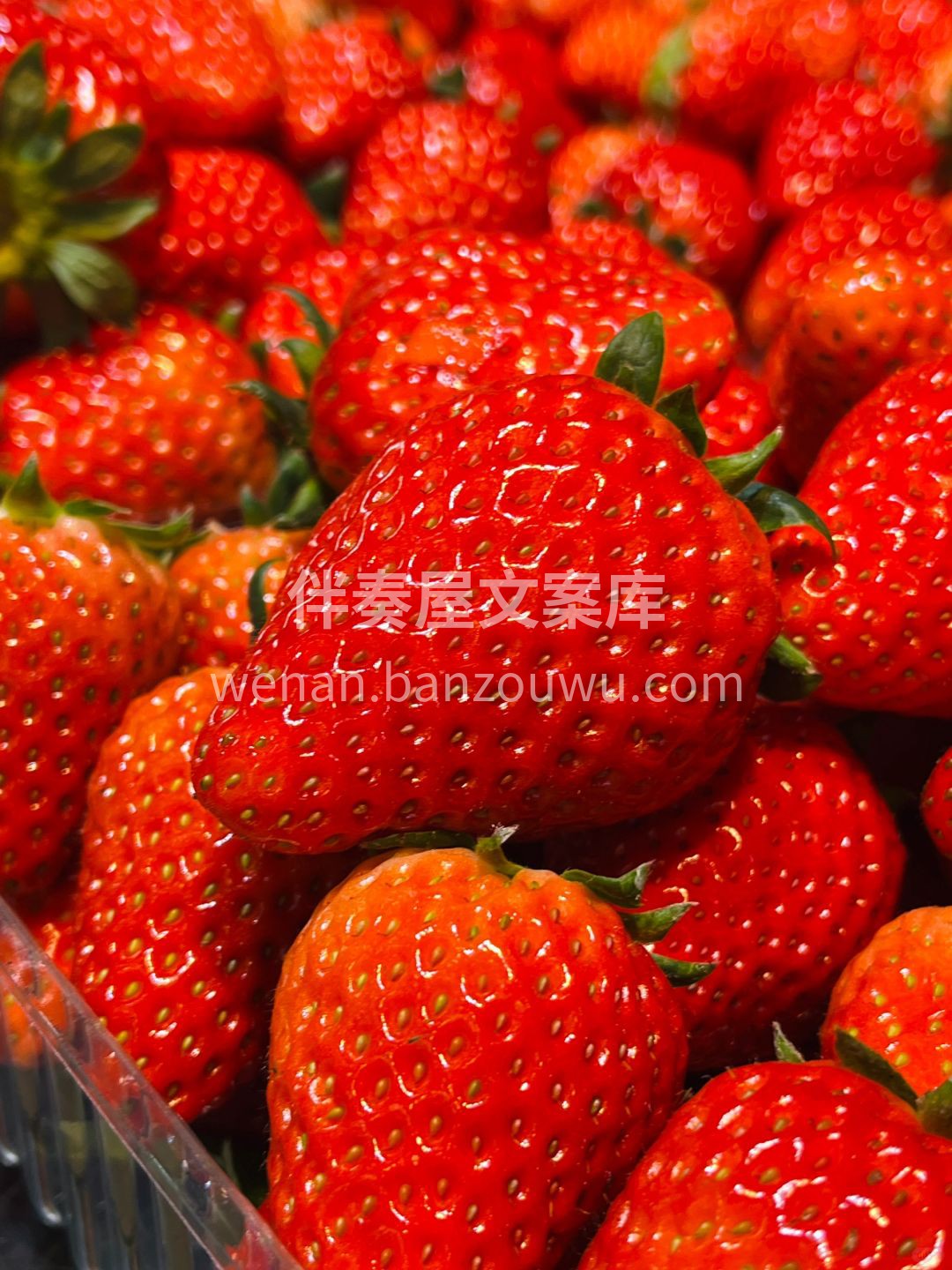 我宣布📣：草莓季正式开始🍓 甜蜜之约，我 配图1