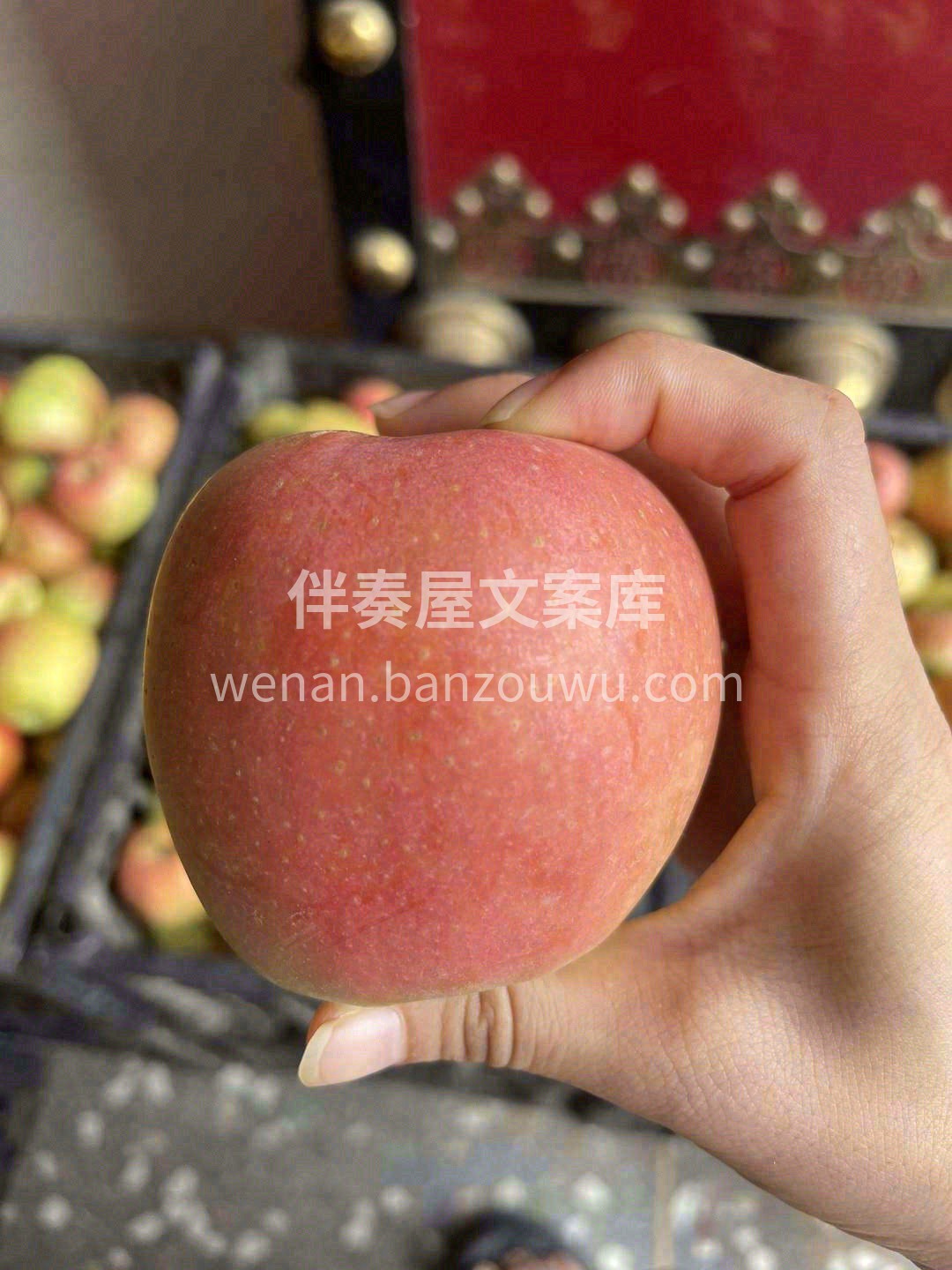 💁越是身处都市，越是渴望田野的广阔😊 这 配图1