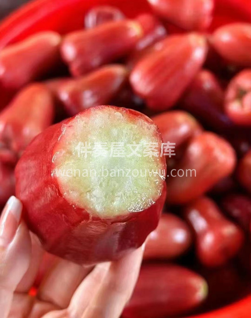 别错过👉掌心莲雾🍎红润水灵、小巧可爱，嘎 配图1