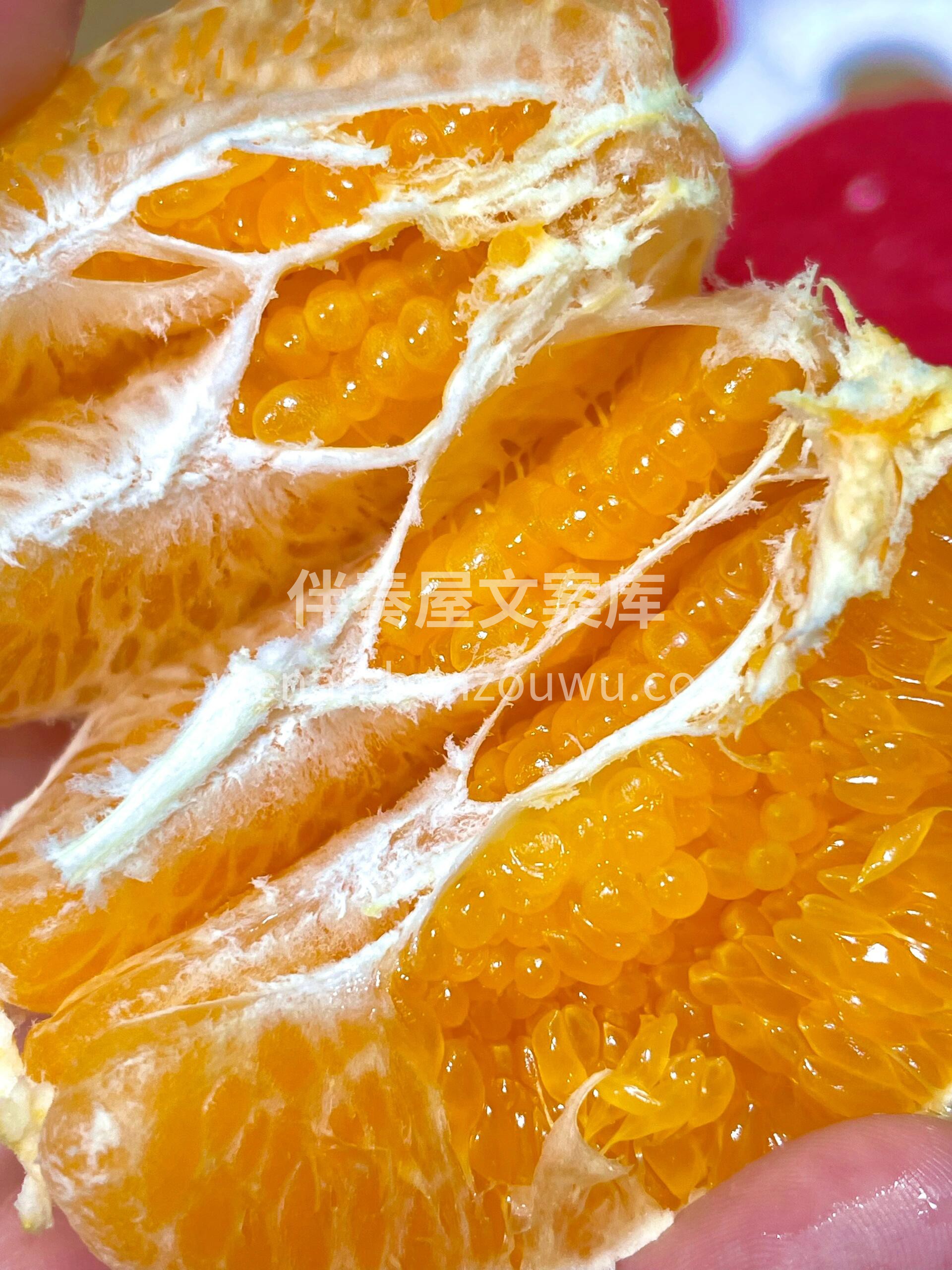 春天的明星👑—大雅柑，掰一瓣扔进嘴里😍  配图3