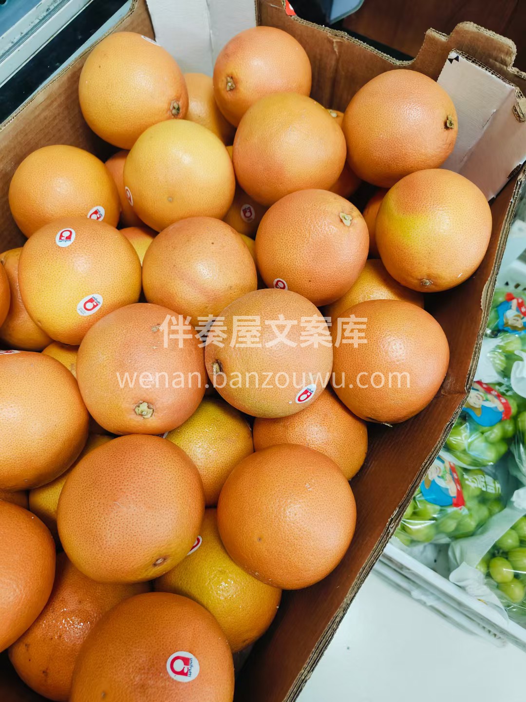 【南非西柚】🍊 想要瘦身的仙女可太需要它 配图3