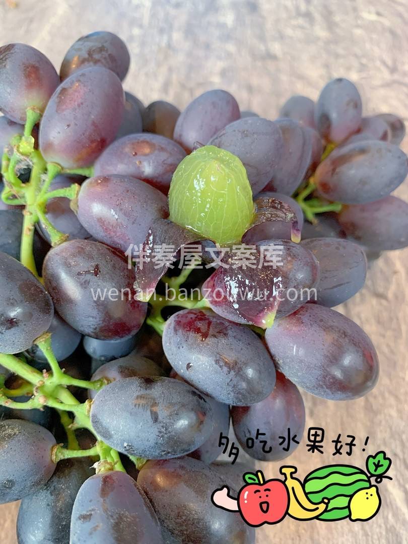 🍇脆嫩的感觉，是我喜欢的脆感没错了😎不是 配图3
