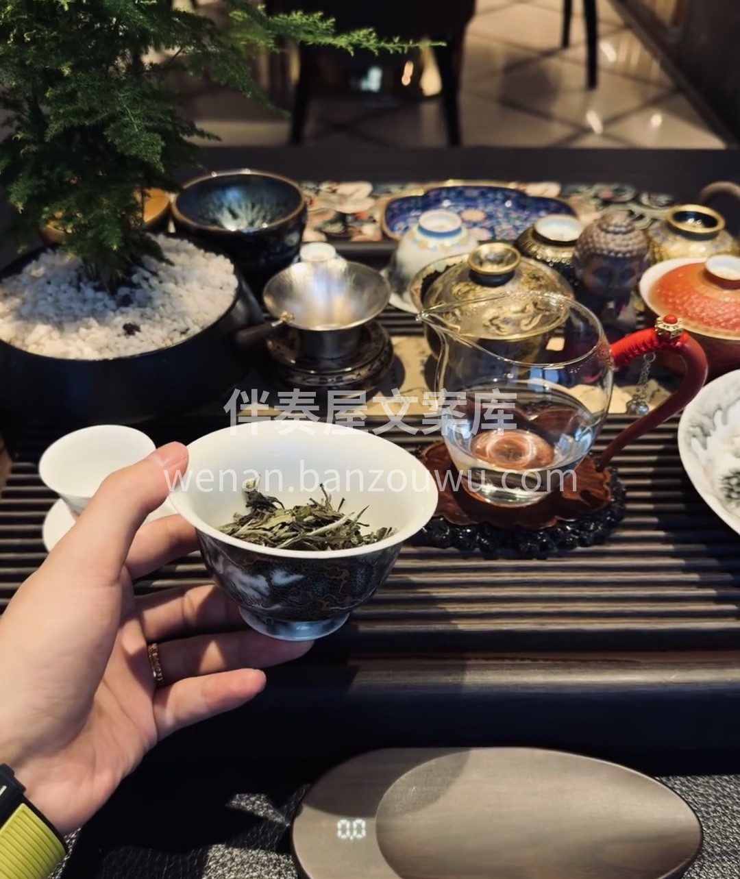😜宝子们，快来品尝这沁人心脾的茶叶！精选 配图2