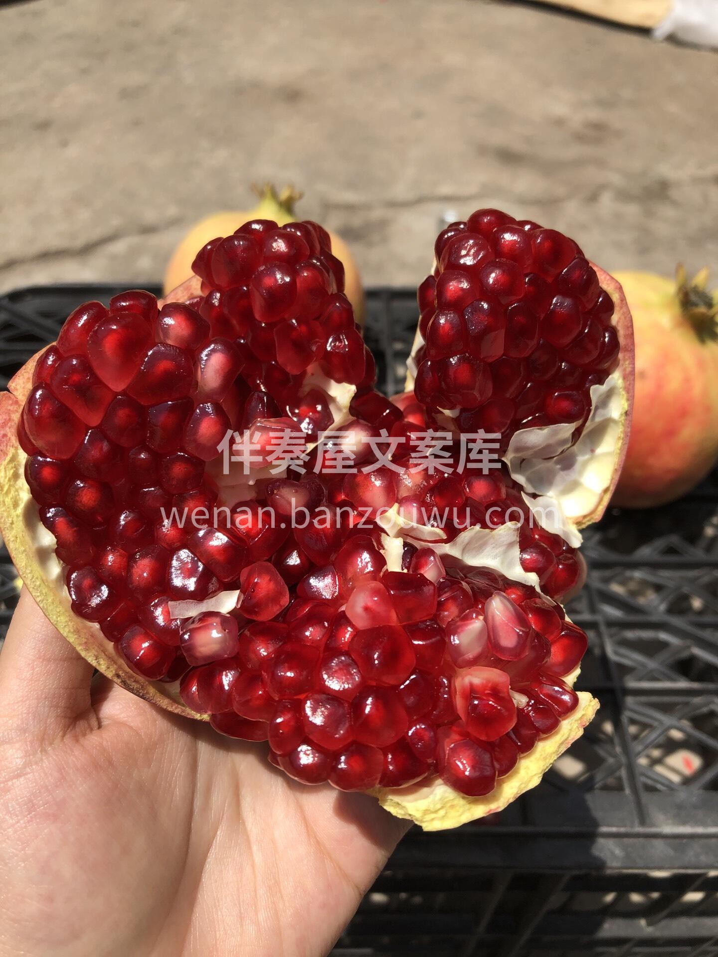 🍂论秋天水果的当家花旦🌹 还得是突尼斯软 配图2