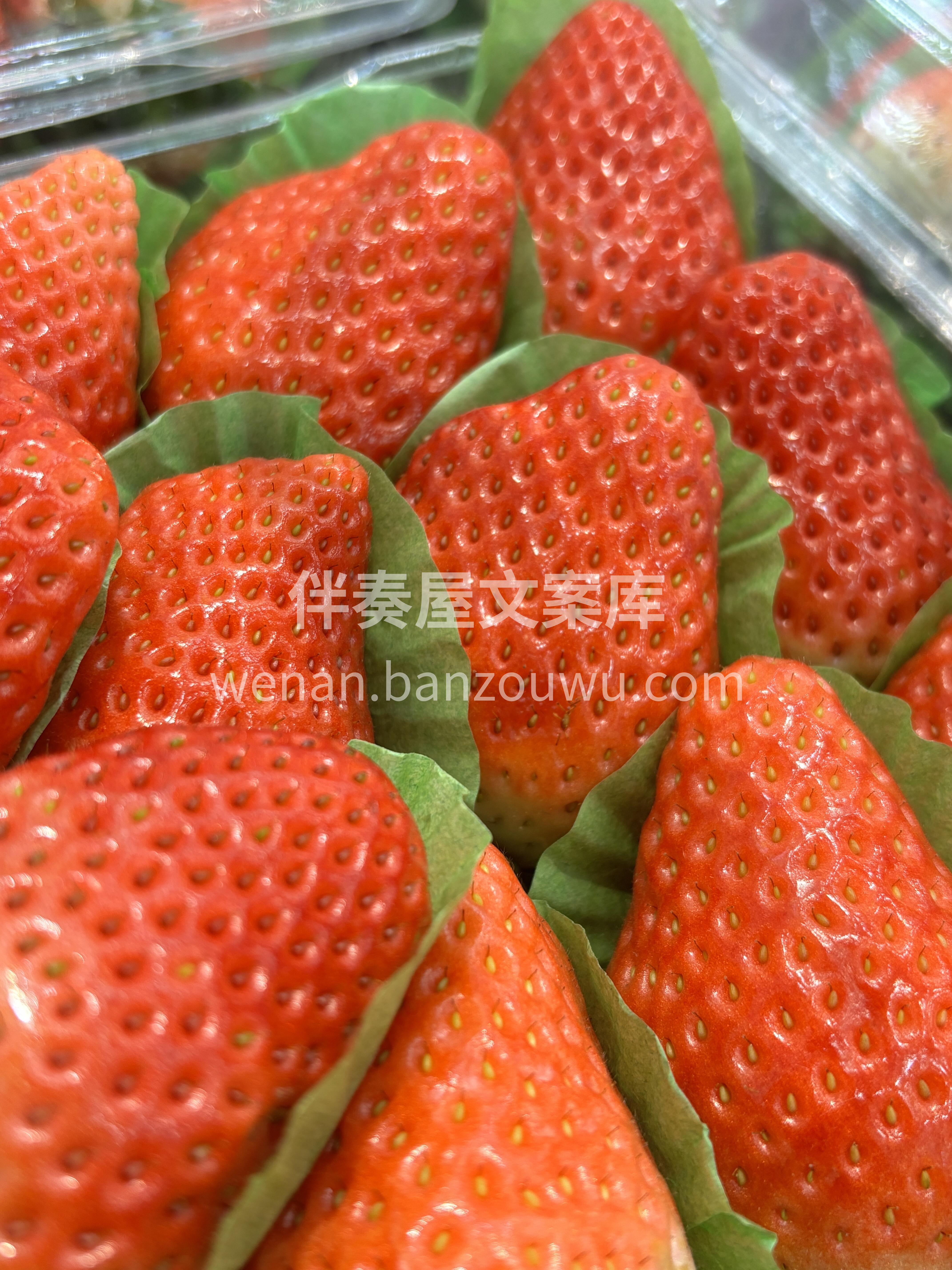🍓草莓新鲜到货！ 红彤彤的颜色看着就叫人 配图3