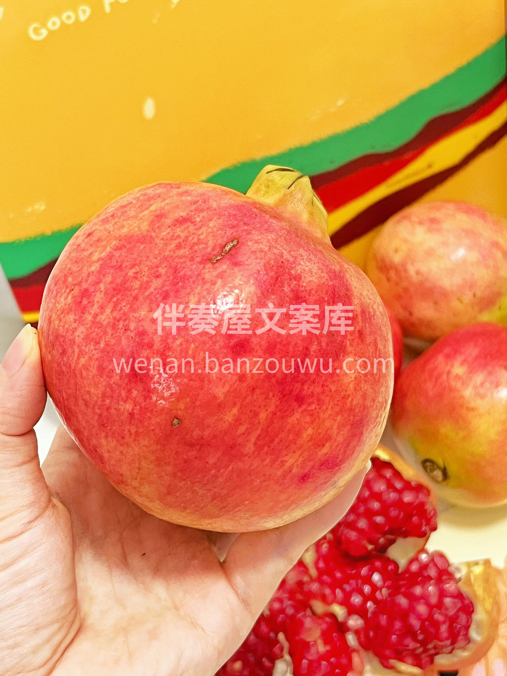 遇见这样的品质- 你一定要收了收了 石榴 配图3