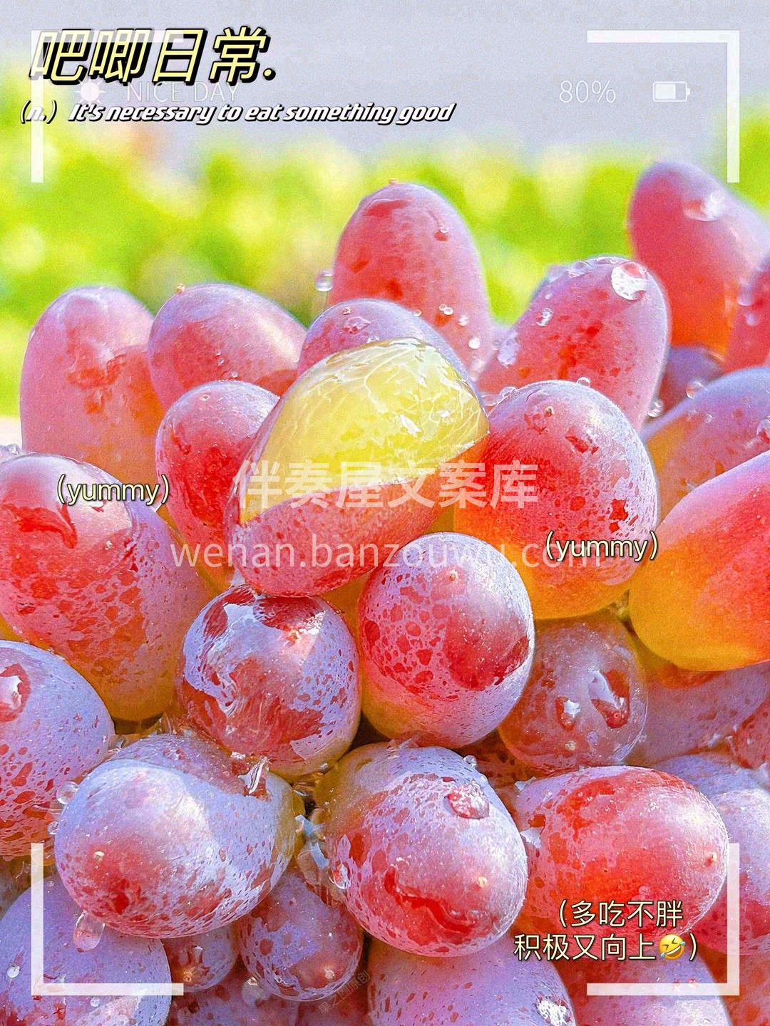 茉莉香葡萄🌈， 如果气味会说话，那么这一