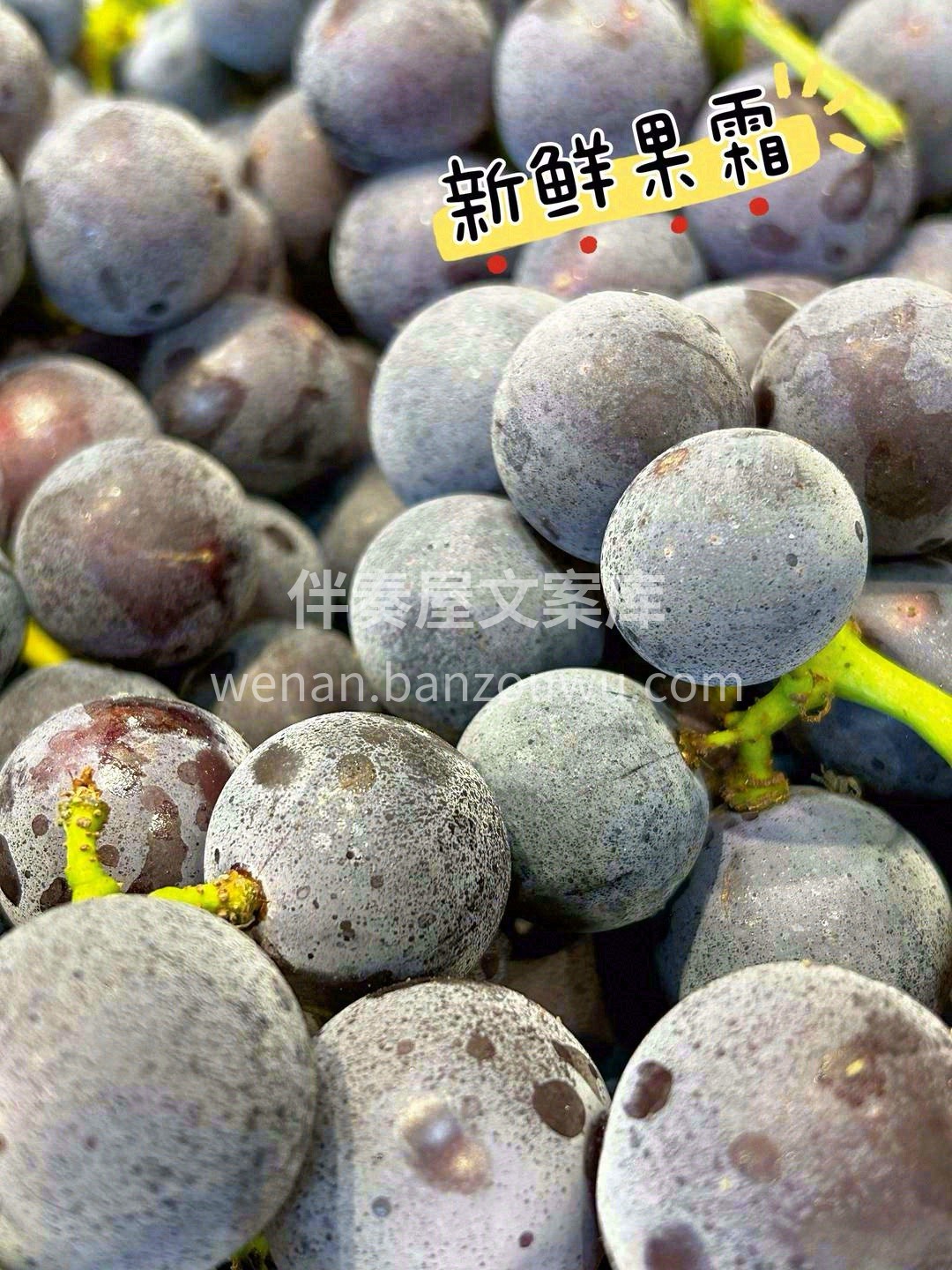 吸收满春天的阳光🔅，成为夏日里的一颗超饱 配图3