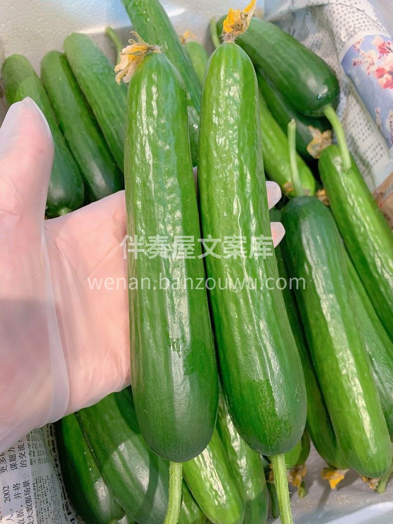 💚即食水果黄瓜，新鲜嘎嘣脆😁 野炊必备小 配图1