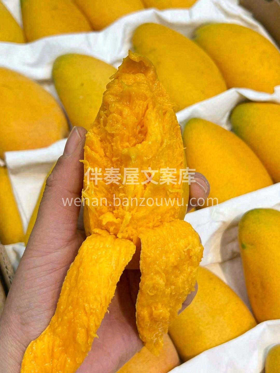 口口都是肉😍，吃完只剩如📜纸薄的核。 9 配图1