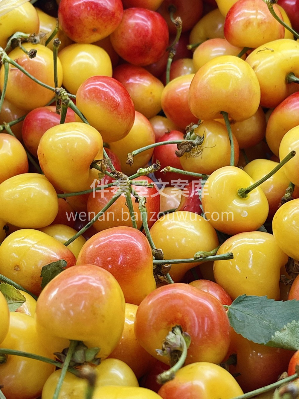 甜蜜暴击款 🍒💛 "黄樱桃季到啦！✨ 一 配图3
