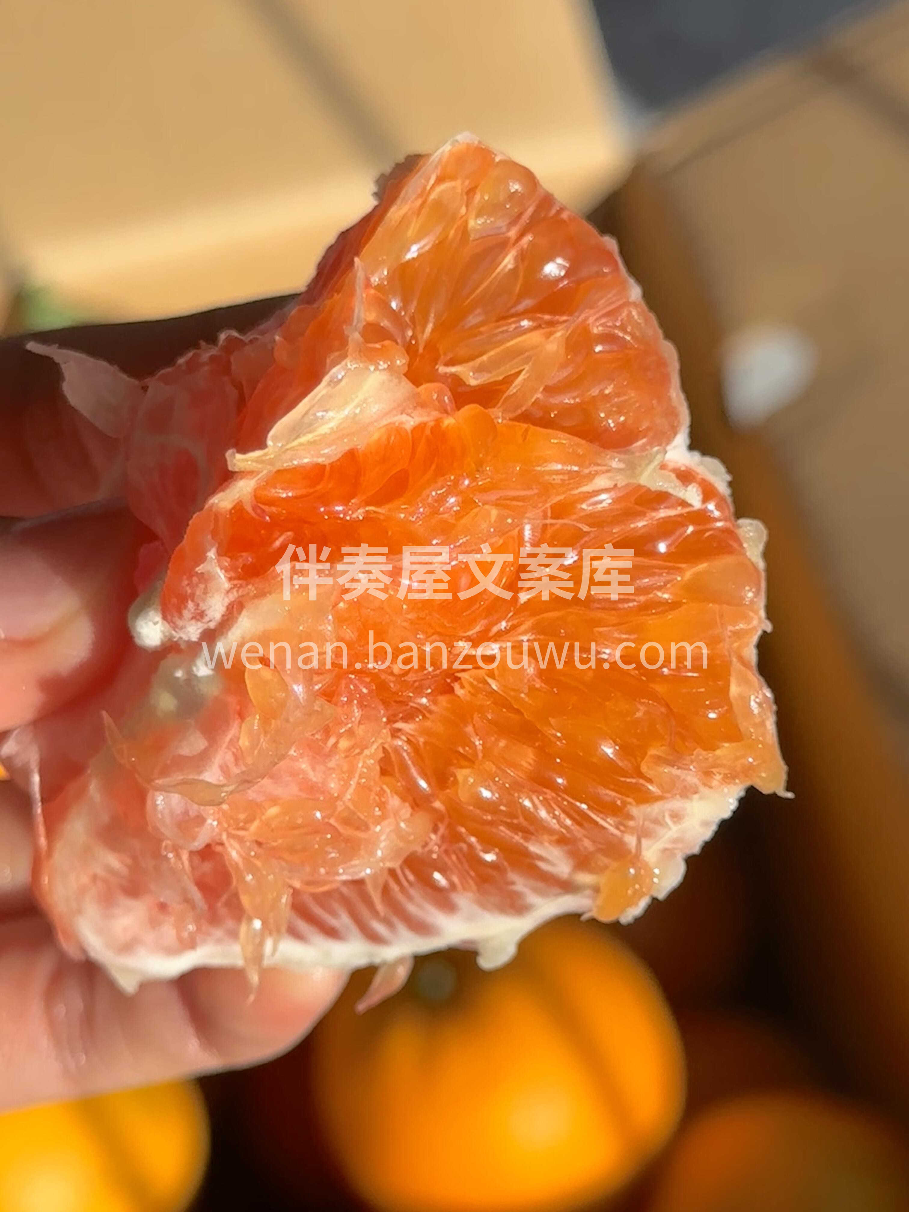 任世界百媚千红 唯独你情有独钟 因为你的 配图2