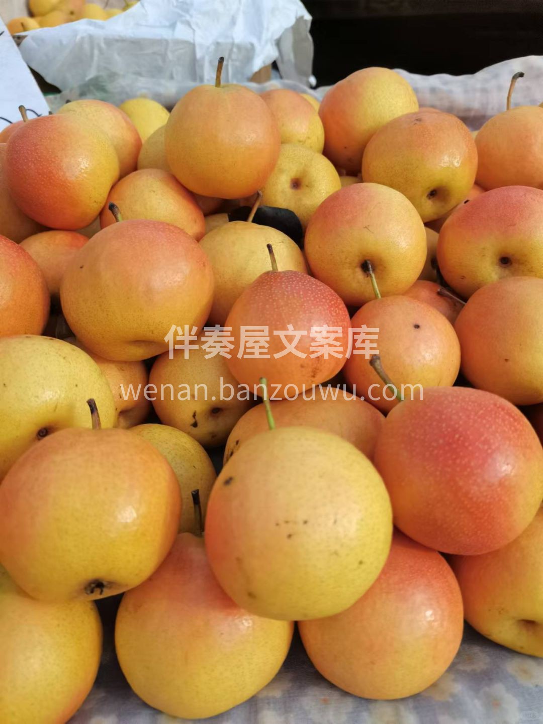 🍐南果梨入口即化 果香高雅、润喉清凉💧  配图3