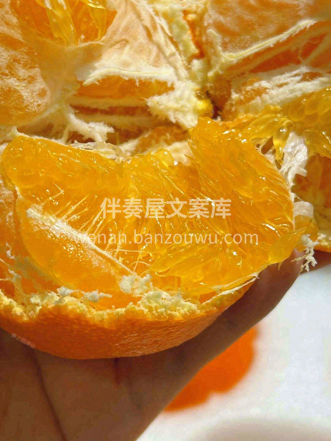 一果多尝，实在难得👍 香、甜、嫩、爽，四 配图1