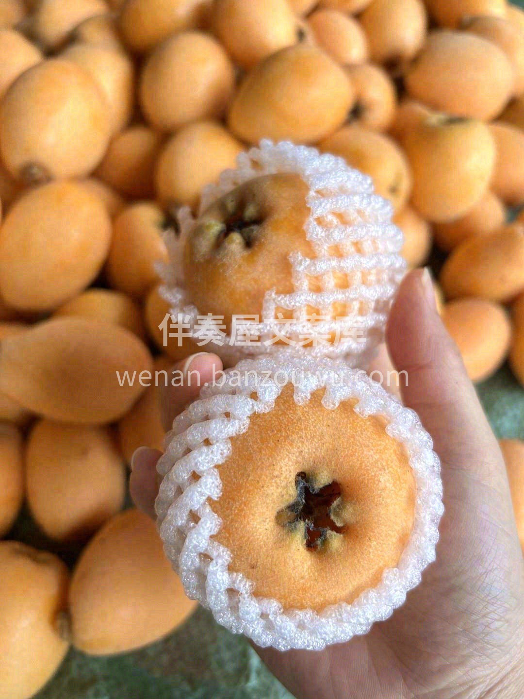 水果届的止咳糖浆🍯‼️ 个头超大，一口下 配图1