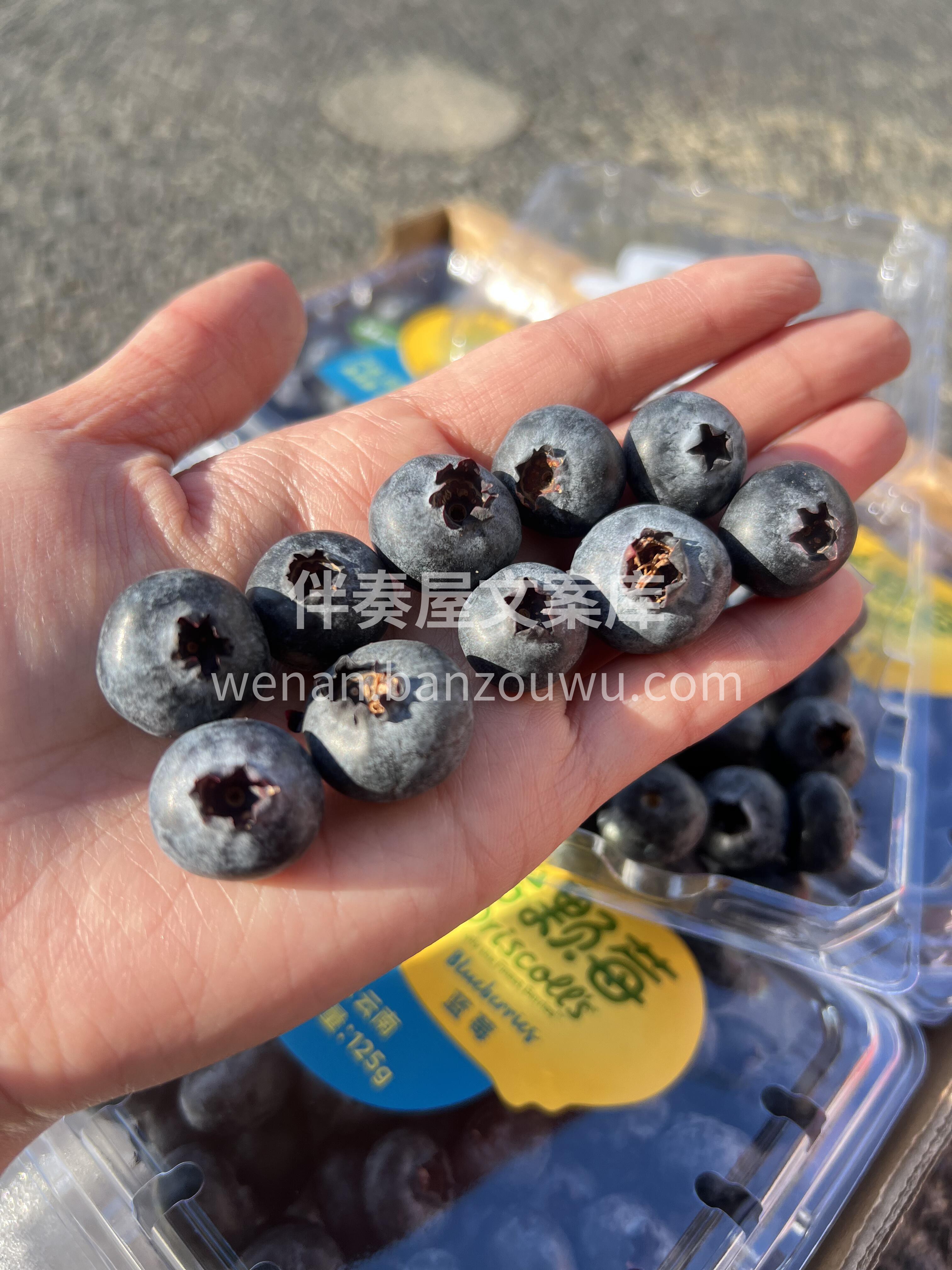 💙怡颗莓蓝莓 新鲜大粒蓝莓🫐，看得见的天 配图1