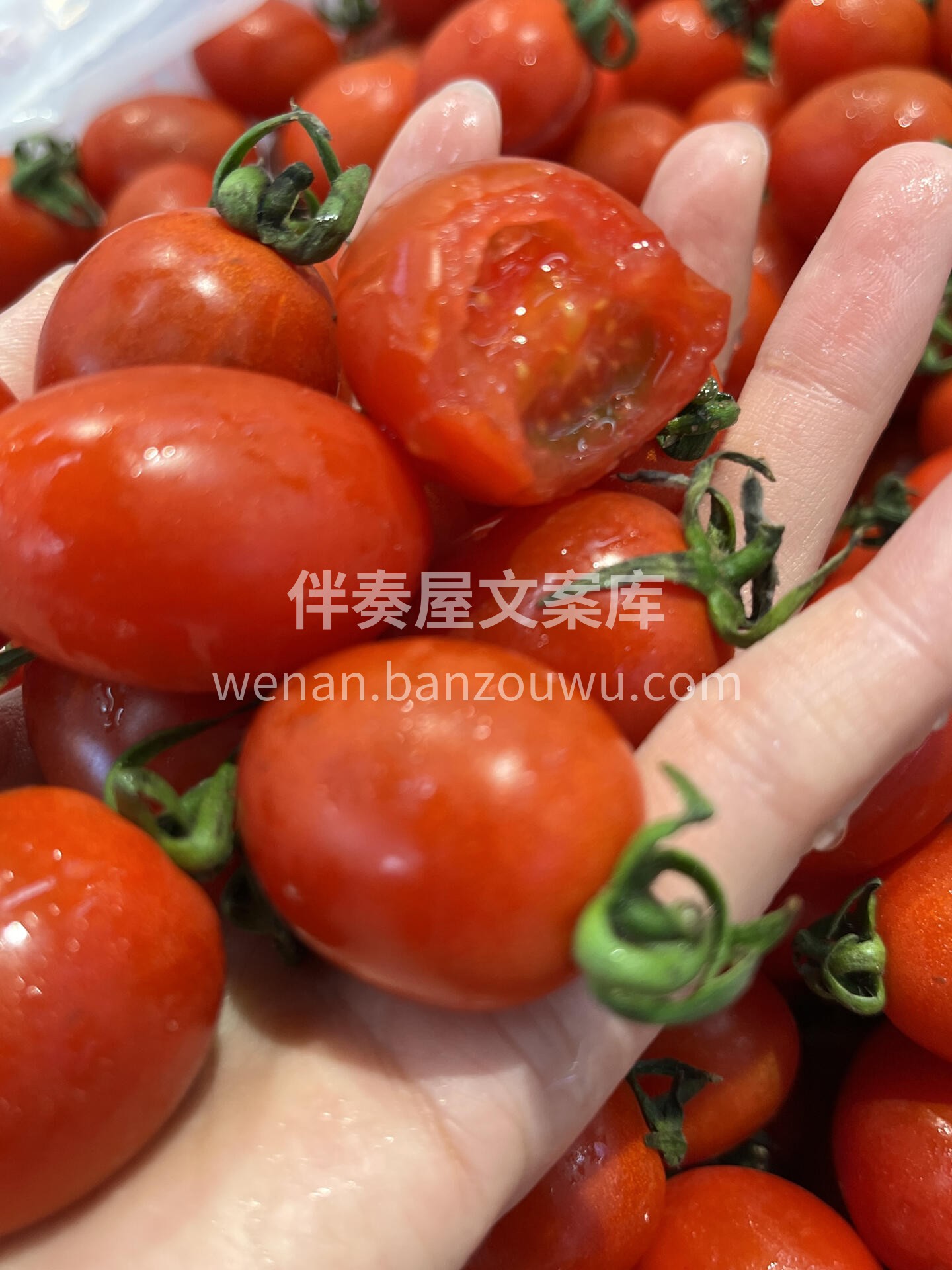 𝙃𝙖𝙥𝙥𝙮 𝙀𝙫𝙚𝙧𝙮𝙙𝙖𝙮 𖠚ᐝ 🍮๑⃙⃘´༥`๑⃙⃘ 🥳 配图5