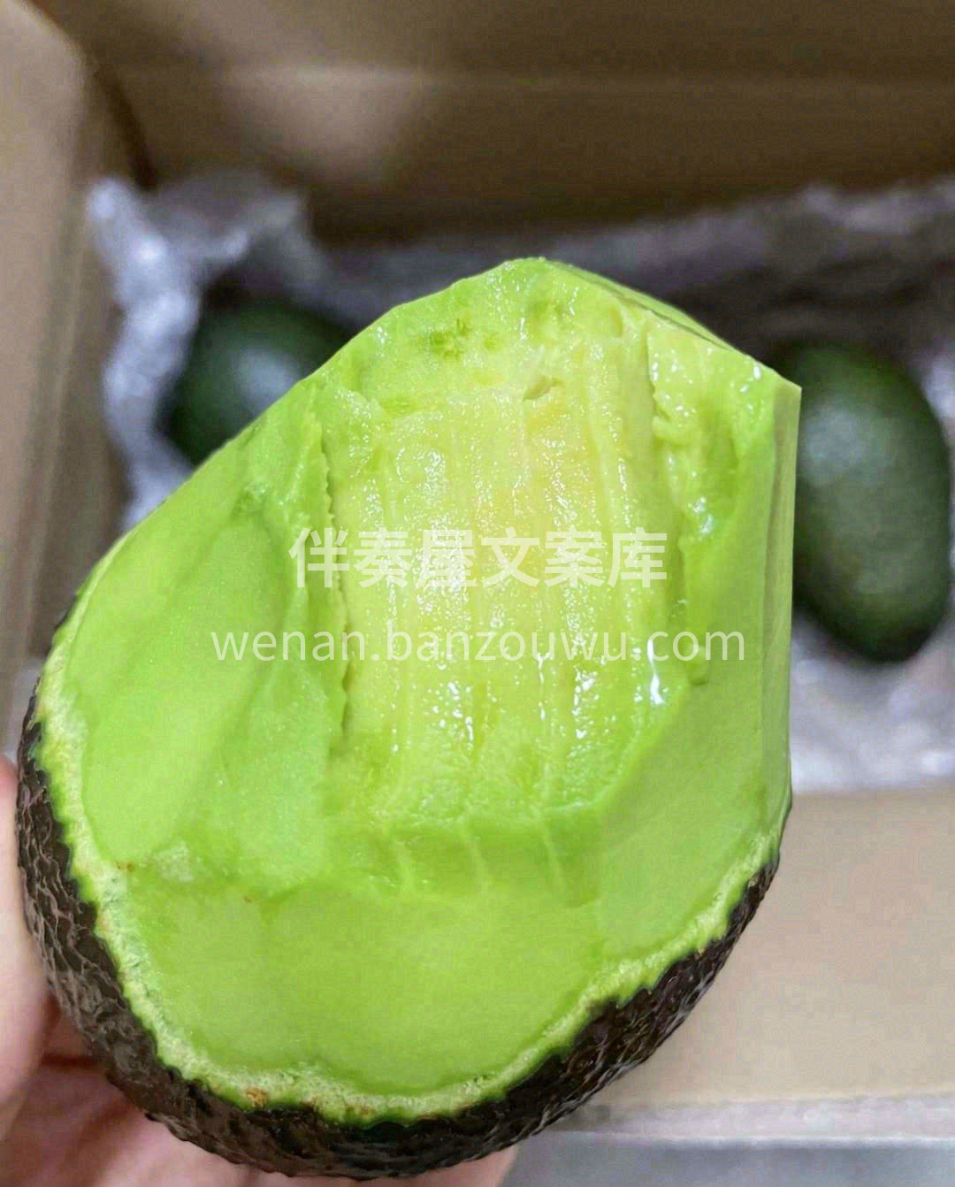 🎖吉尼斯纪录最具营养的水果❗ 号称森林奶 配图2