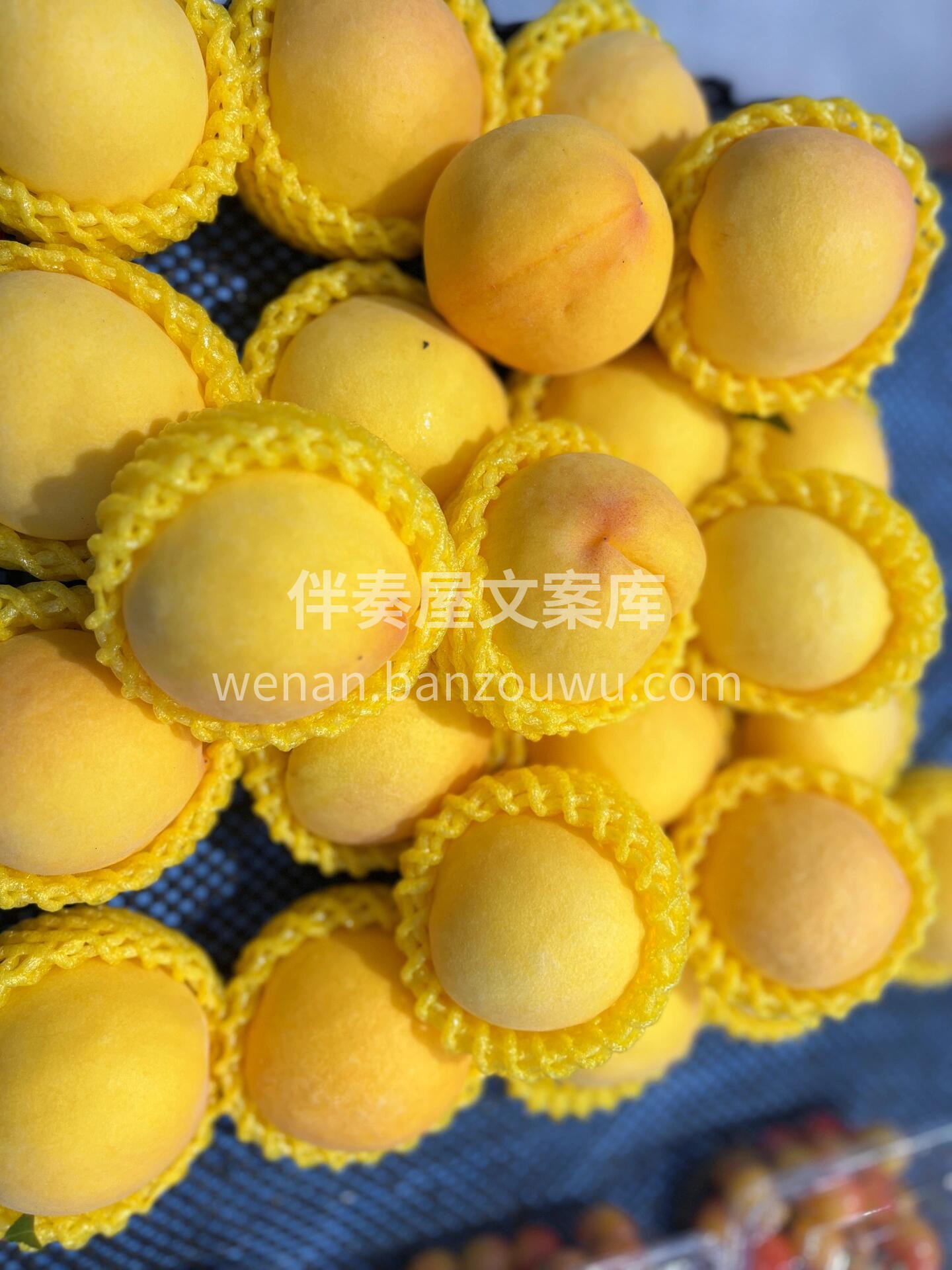 💛黄桃新鲜上架🌿🌿 软而不稀，脆而不硬， 配图1