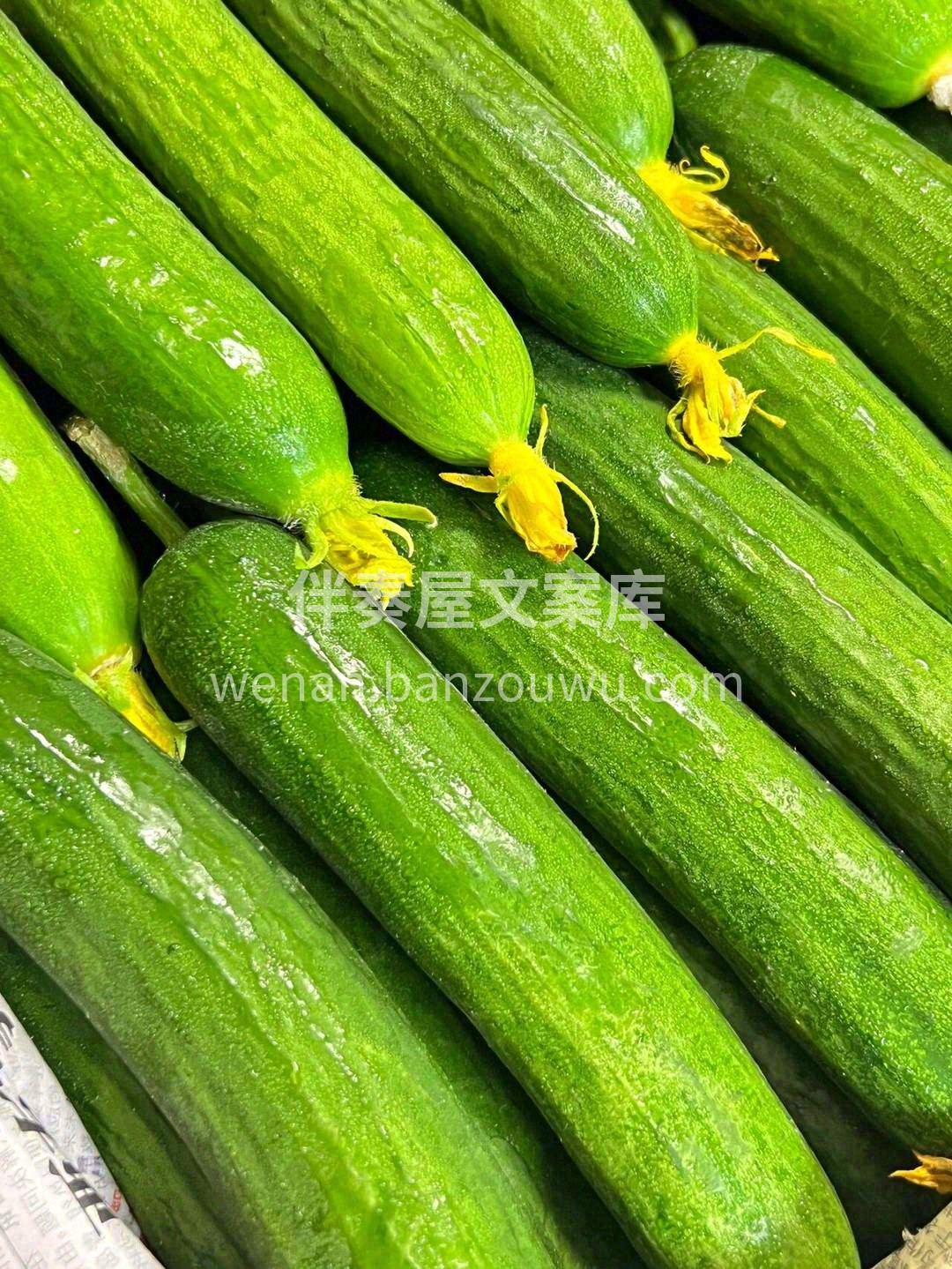 夏天是什么味道的？🏖️ 凉凉的，脆脆的， 配图2