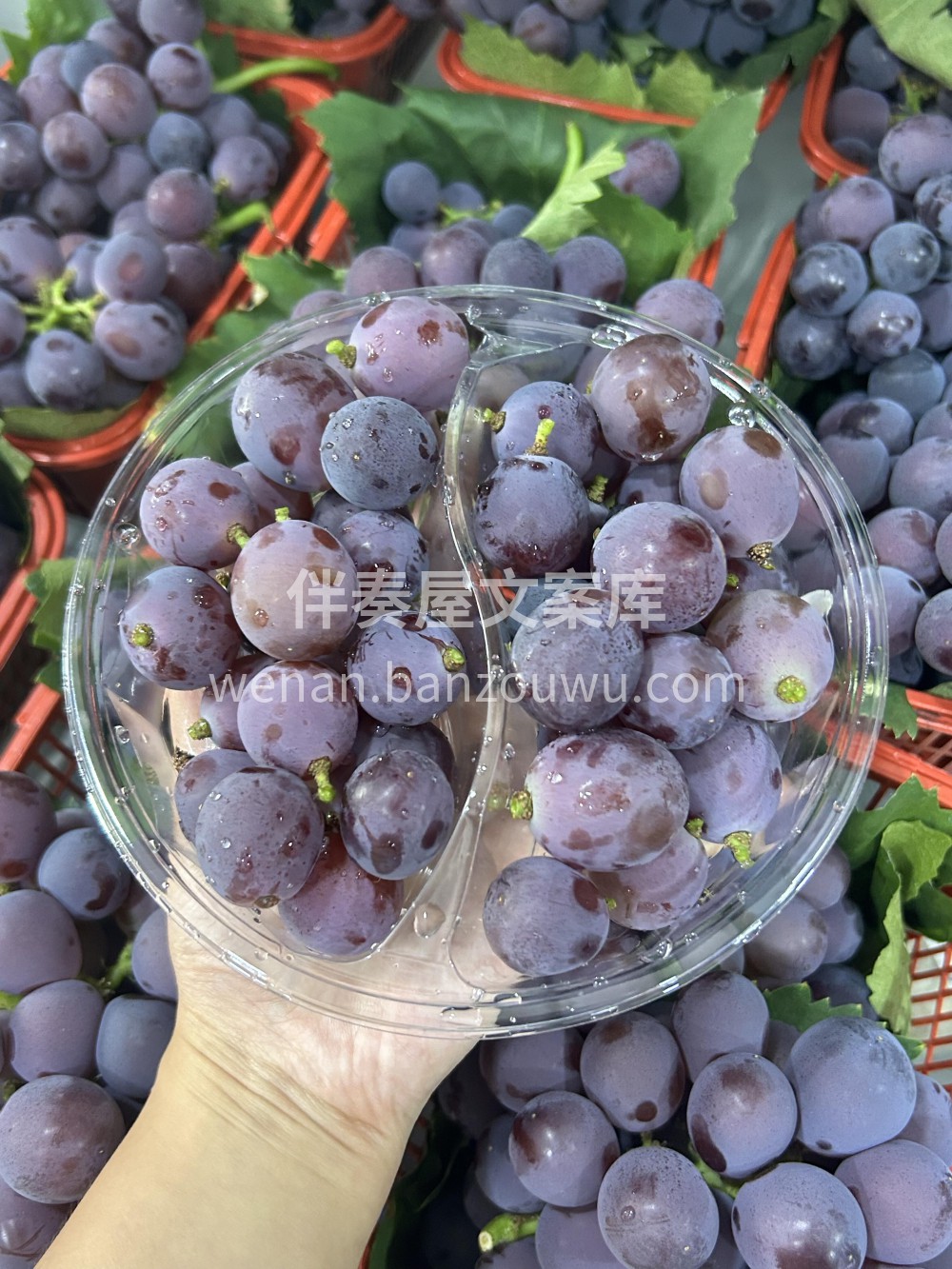 一口咬下，爆汁的快乐瞬间来袭！💦 紫宝石 配图2