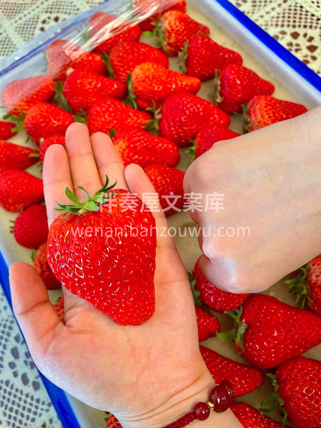 咬一口草莓尖🍓那份甜真真儿沁到人的心里去 配图1
