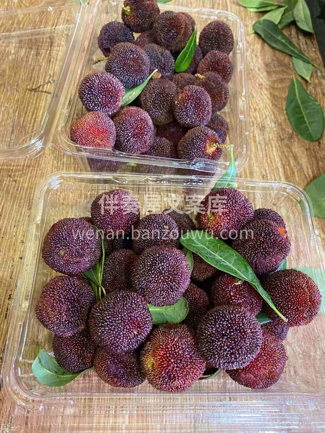 微深染紫的一颗颗，泡过盐水，丢进嘴里👄👄 配图3