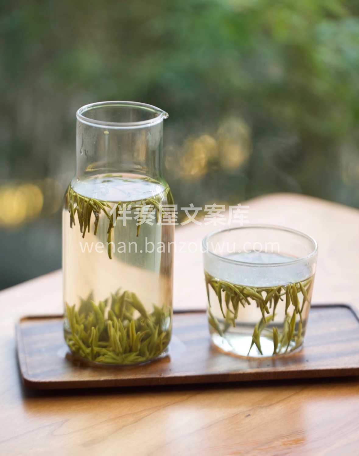 晨露凝尖，银毫满披。杯中君山银针缓缓挺立 配图3