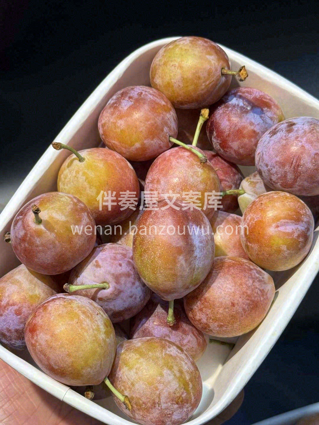 智利西梅✈ 真正的好水果是这样的🙋！！！ 配图3