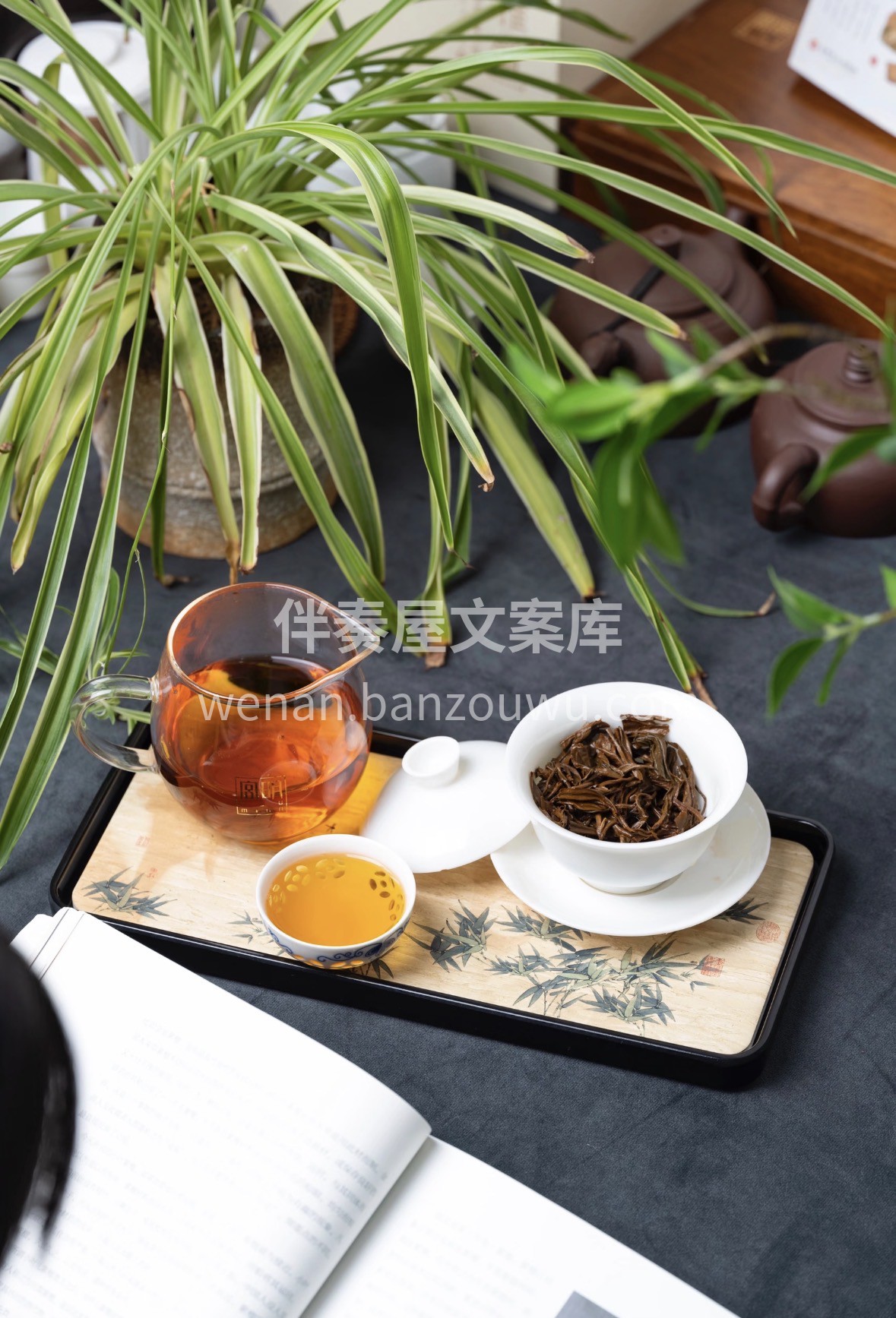 🎁年货臻选祁门红茶｜ 🍵核心产地祁门核心 配图2