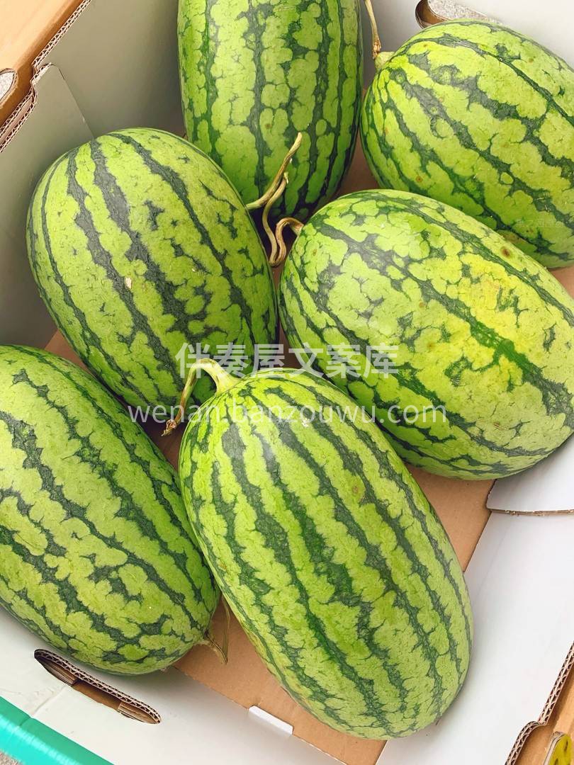 🔆夏天你缺一只小2K西瓜🍉 真是好吃到想 配图3