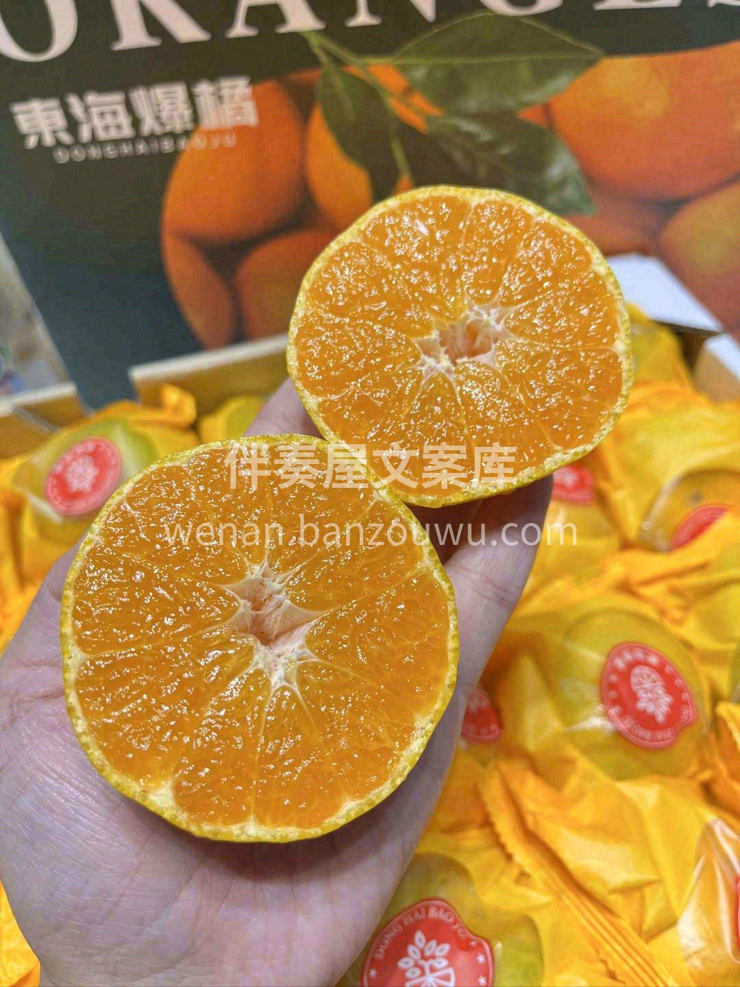 有一颗特别的橘子，颠覆你对橘子前半生的印 配图1