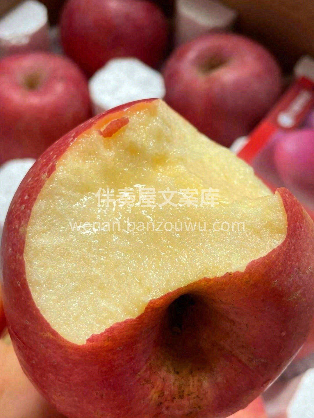 这是一颗离太阳🔆很近，离城市很远的苹果🍎 配图3