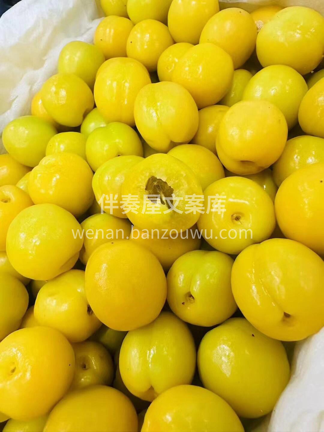 夏天的风🌬️吹到了新疆💋新疆·小白杏‼️ 配图3