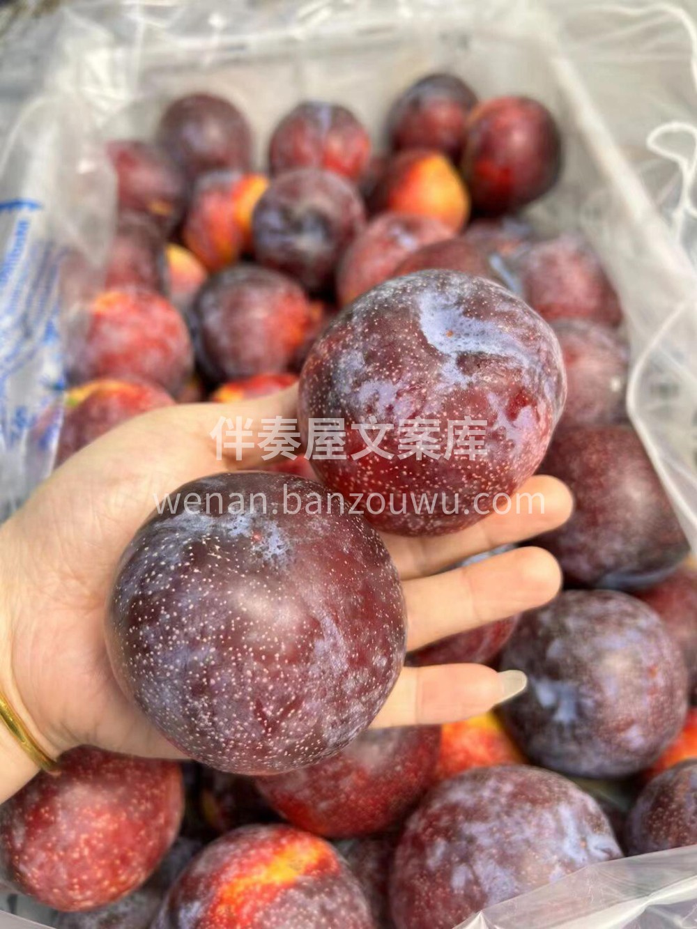 智利🇨🇱雪花李上架喽✅️高品质，颜值高👍 配图2