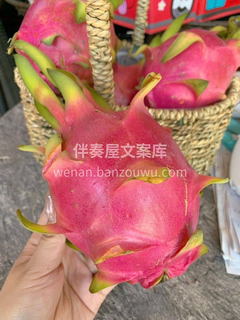 水果白富美·白心火龙果|||果肉白净🍰🍰 配图2