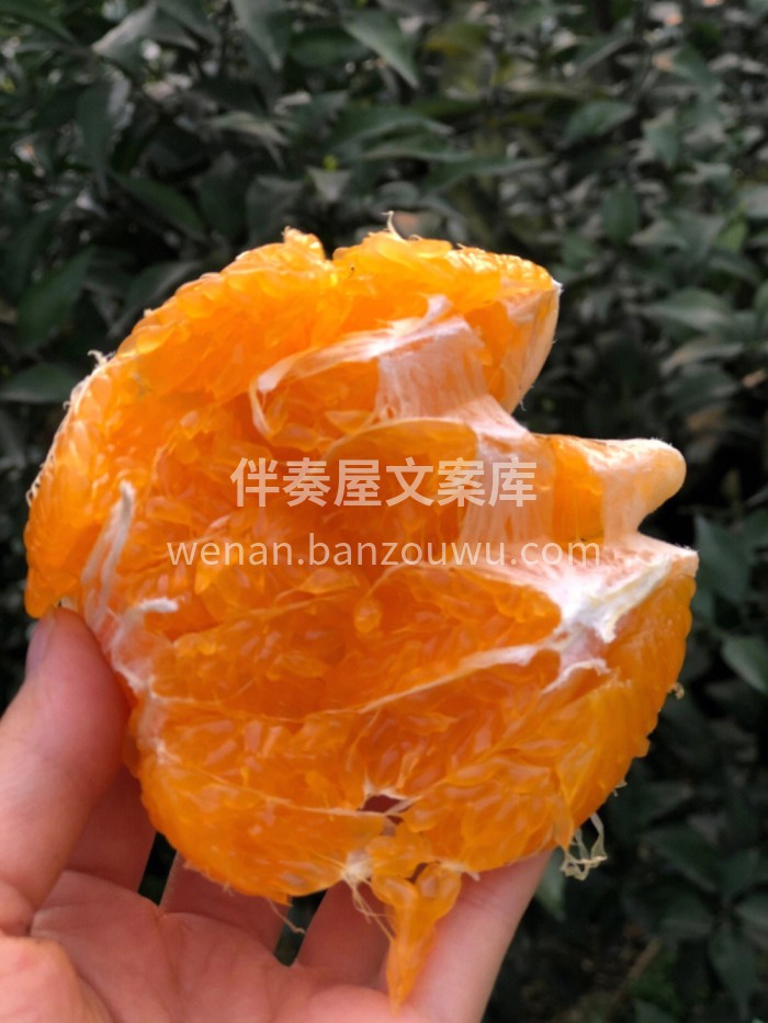 不知火丑橘🍊口感超级赞👍—拥有天然的浓郁 配图2