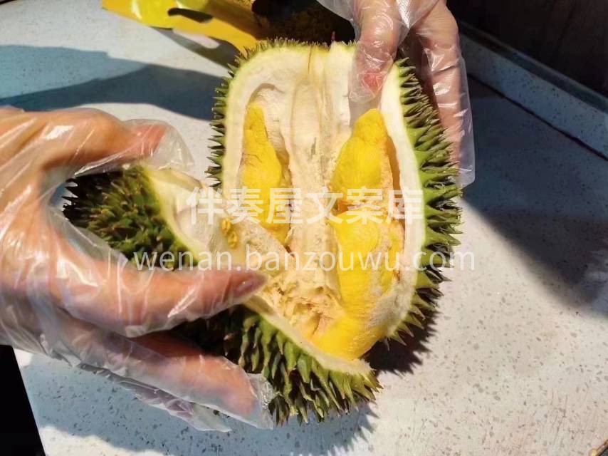 🇲🇾猫山王榴莲 此生不食猫山王，尝遍榴莲 配图1