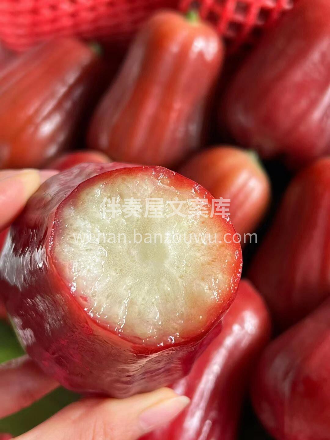 越吃越喜欢的水果🥰 舒服！解渴！零脂肪！ 配图1