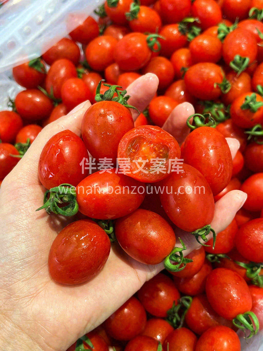 这颗釜山88玲珑小番茄🍅 跟你之前吃过的 配图2
