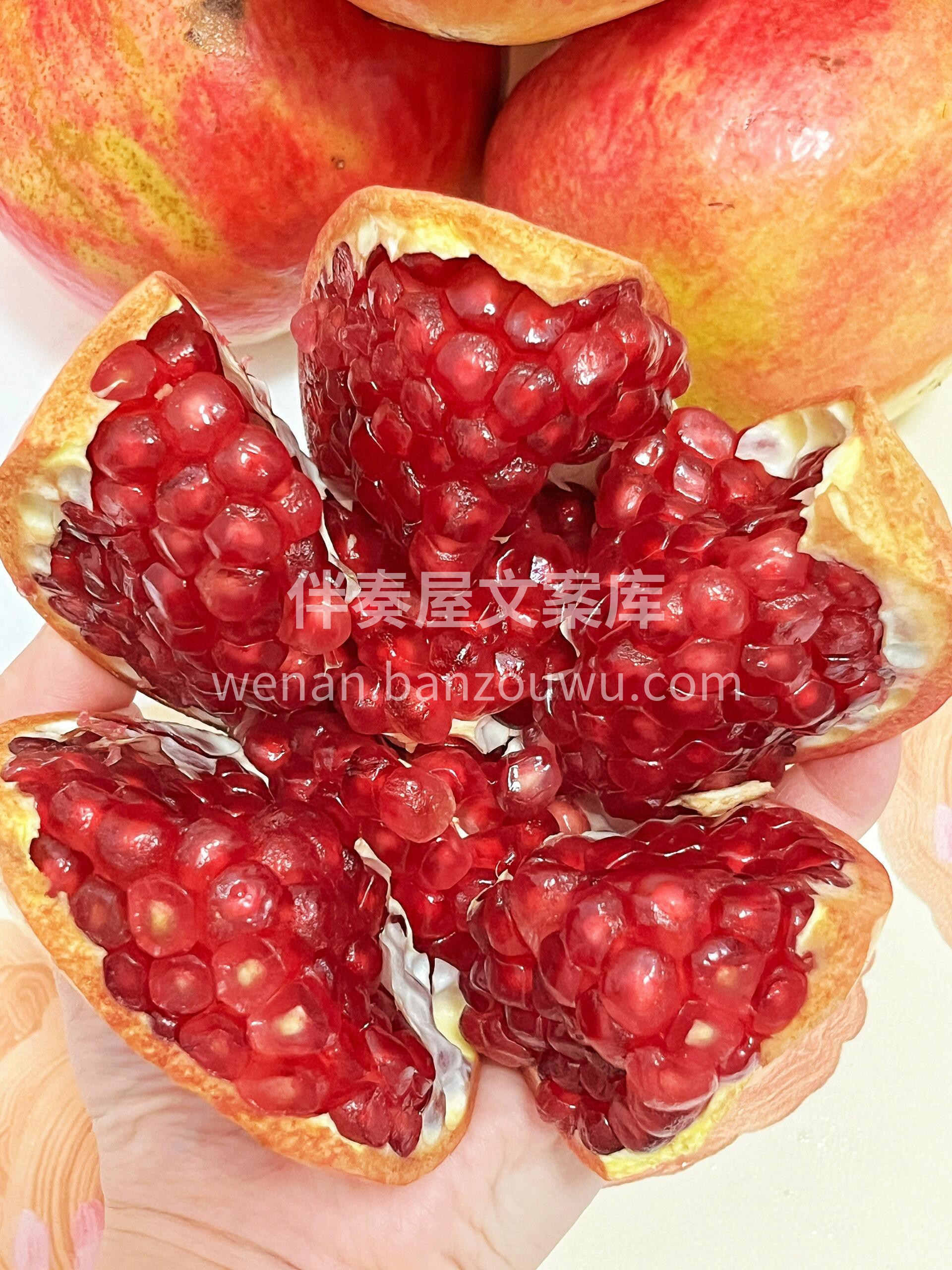 🍓 🍐 🍊 🍉 🥝 🍅 我每天的准时出现 配图1