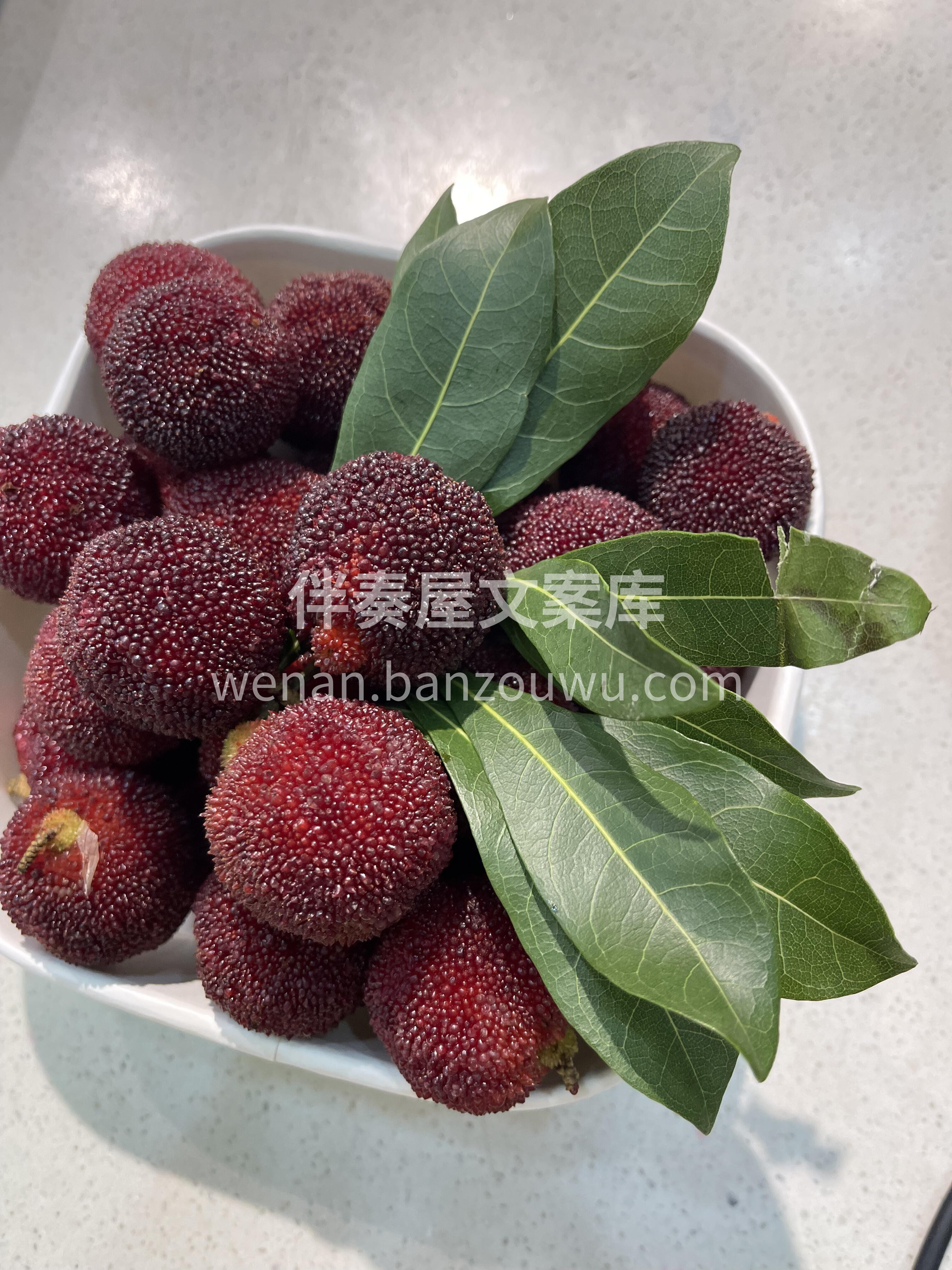 今年的第一颗杨梅来啦👏👏 水果界的瑰宝😍 配图3