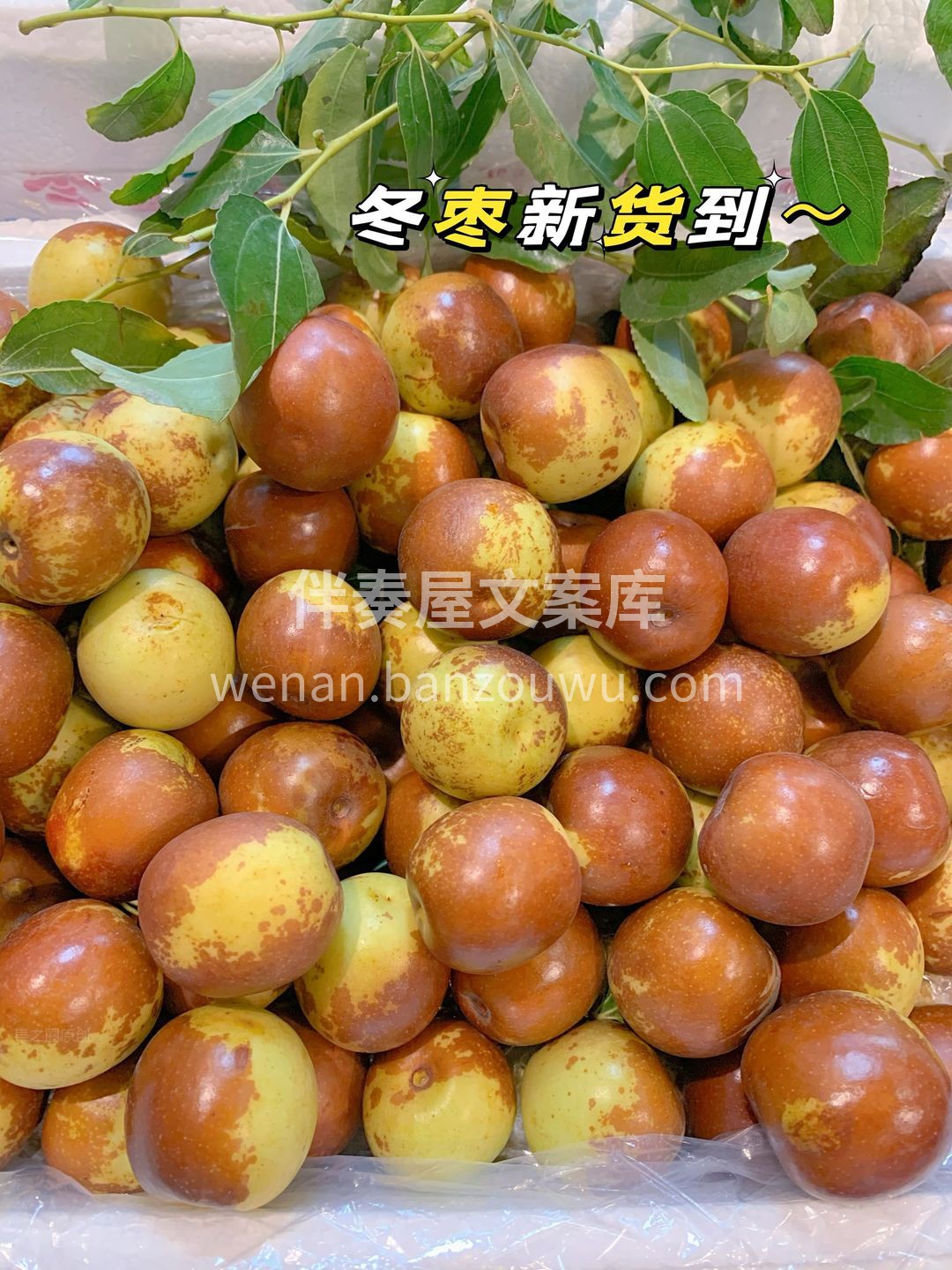 冬枣的快乐在于入口嘎嘣爽脆💥 在畅快的咀 配图2