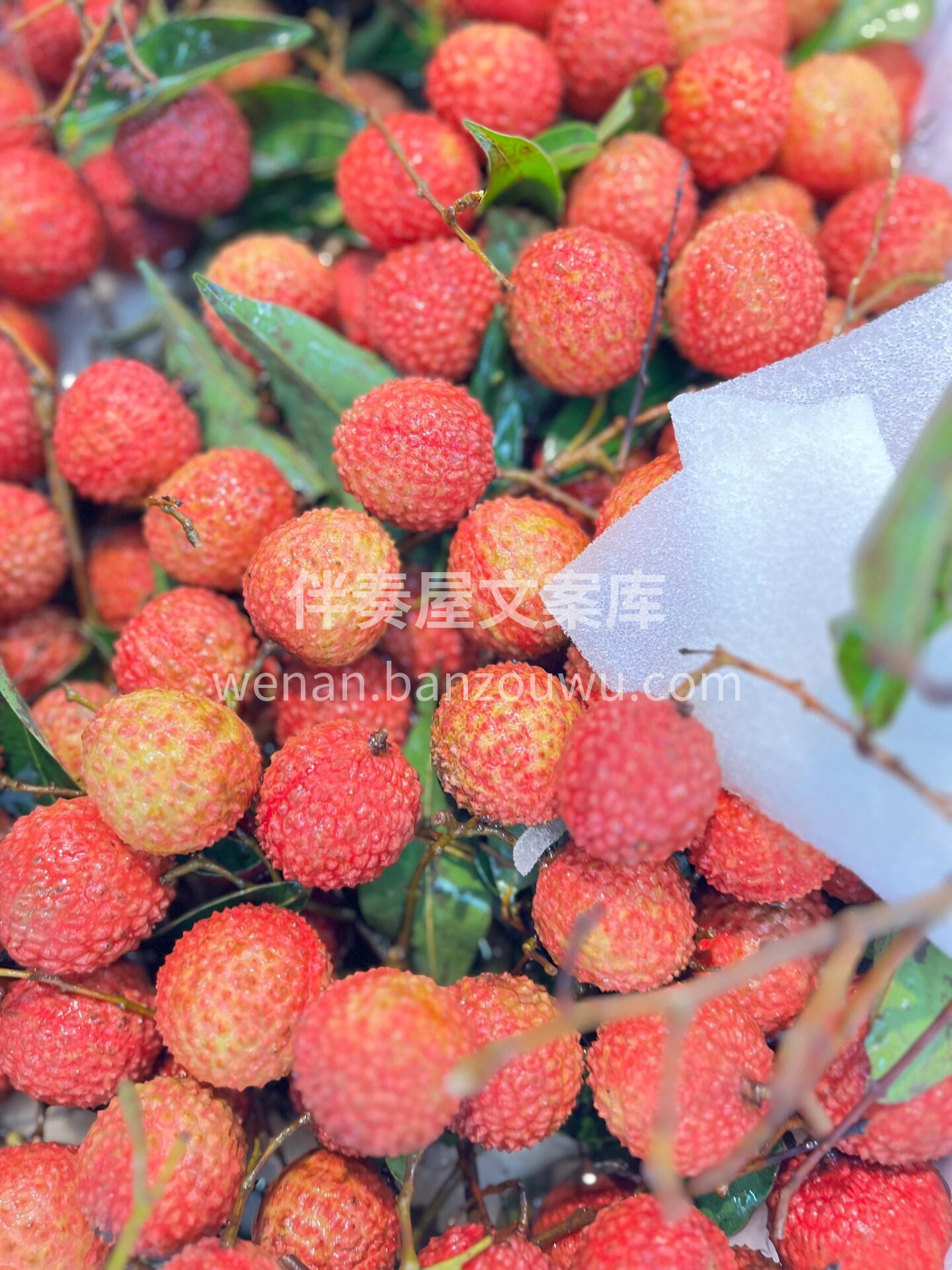 桂味荔枝到啦👏 绝绝子的夏日美味‼️嘬一 配图1