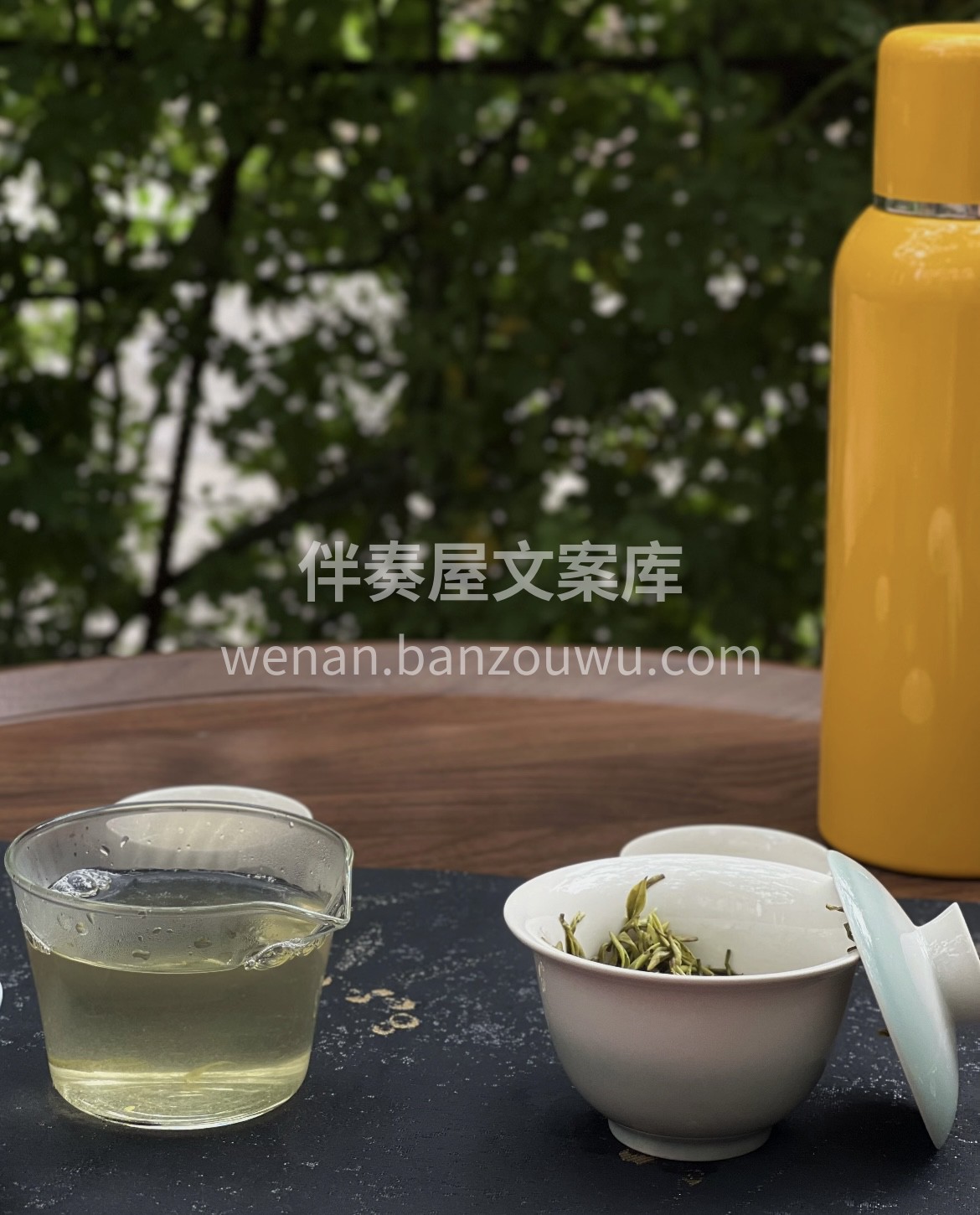这一杯蒙顶甘露，是千年贡茶的余韵。慢下来 配图1