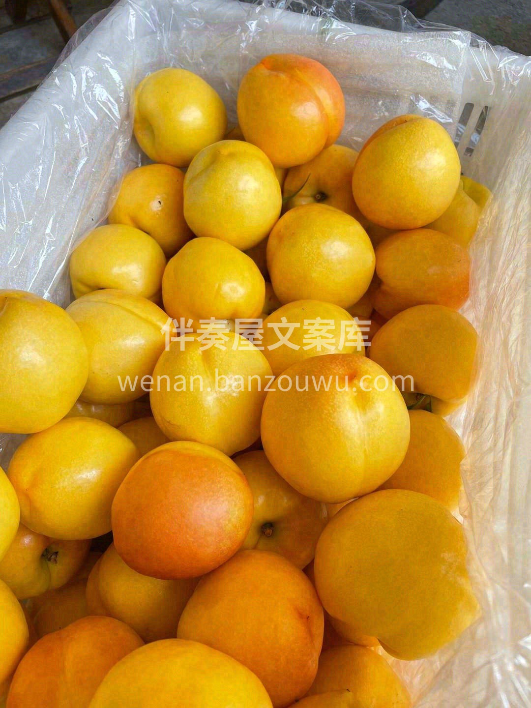 生活的甜水果来承包✅️ 疲惫赶跑🍃快乐加满💚 一口水果🍏一口 配图5